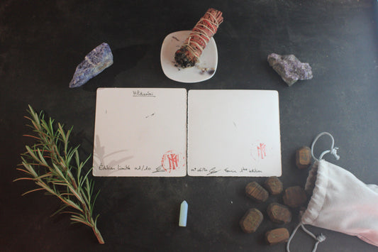 Pack Forces Sauvages – Fenrir & Hildisvíni (Édition Collector) - ScarletWolf